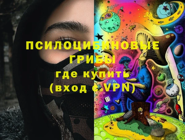 спайс Баксан