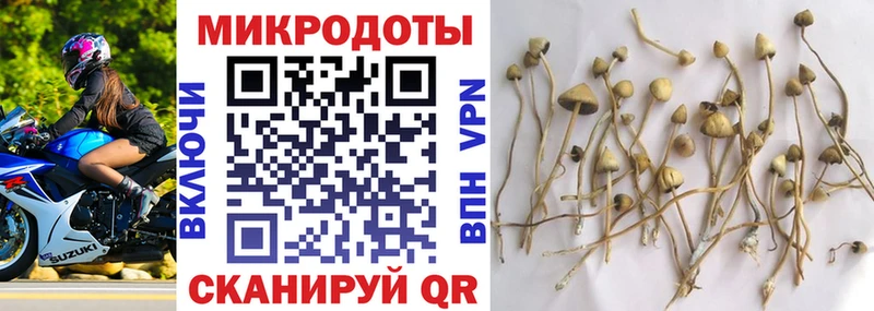 Псилоцибиновые грибы Magic Shrooms OMG рабочий сайт Зеленодольск