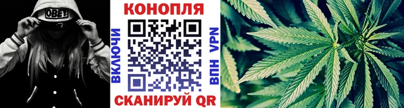 Каннабис сатива  где купить   Зеленодольск 